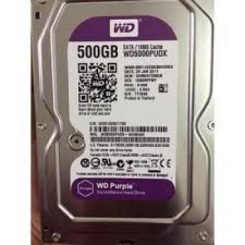 Ổ cứng HDD Western Purple 500Gb SATA3 5400rpm